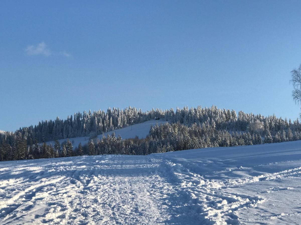 Willa Dalia Rabka-Zdrój Esterno foto