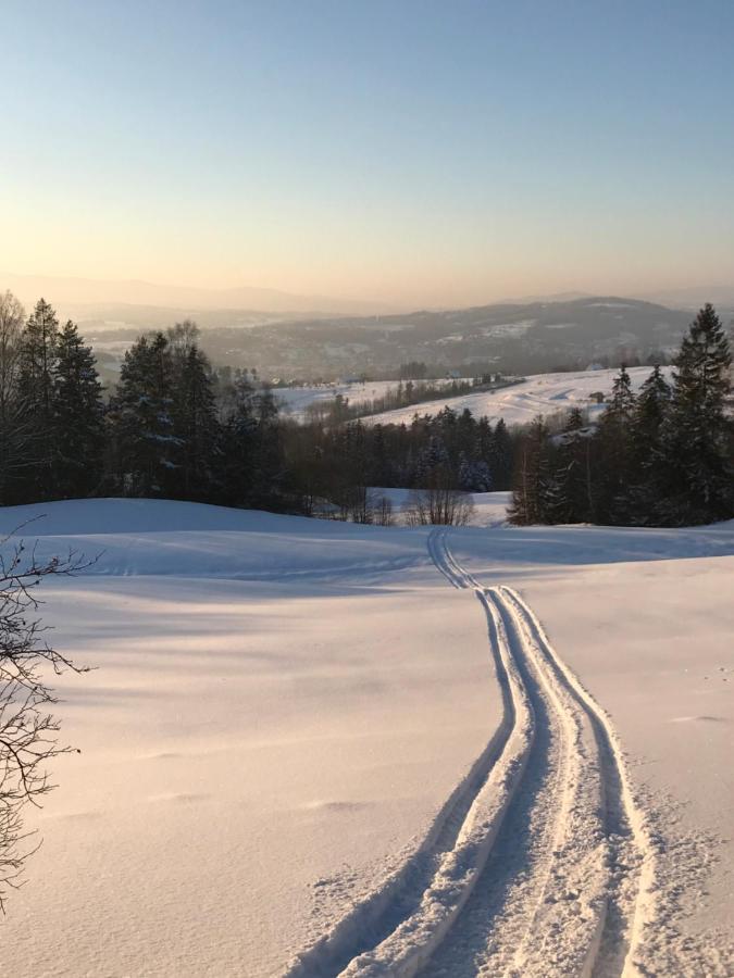 Willa Dalia Rabka-Zdrój Esterno foto